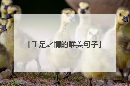 手足之情的唯美句子