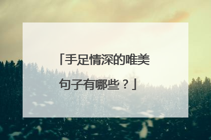 手足情深的唯美句子有哪些？