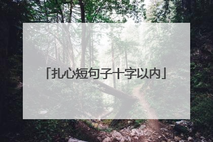 扎心短句子十字以内
