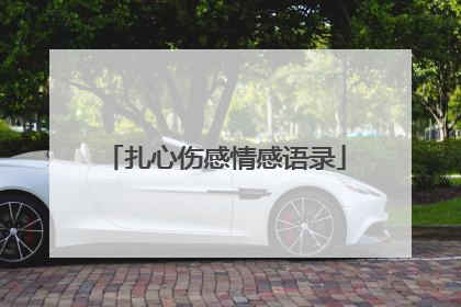 扎心伤感情感语录