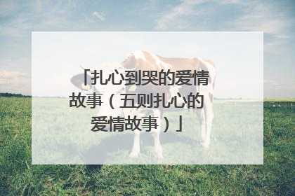 扎心到哭的爱情故事（五则扎心的爱情故事）