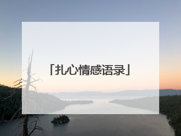 扎心情感语录
