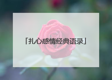 扎心感情经典语录