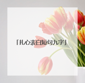 扎心表白短句九字