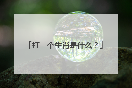 打一个生肖是什么?