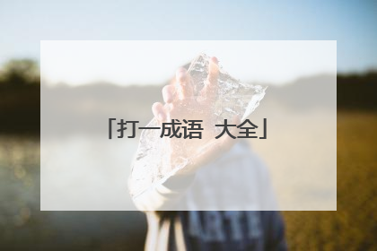 打一成语 大全