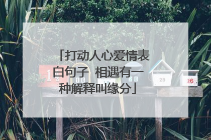 打动人心爱情表白句子 相遇有一种解释叫缘分