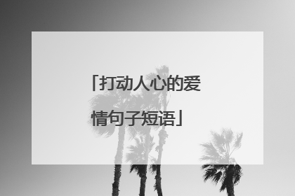 打动人心的爱情句子短语