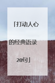 打动人心的经典语录20句