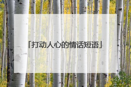 打动人心的情话短语