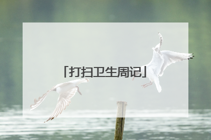 打扫卫生周记