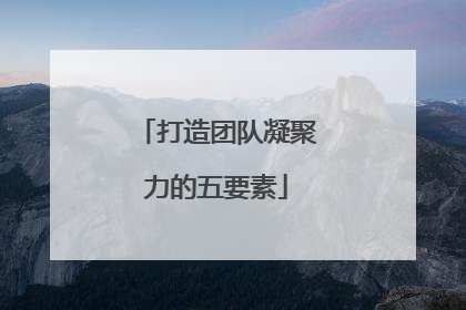 打造团队凝聚力的五要素