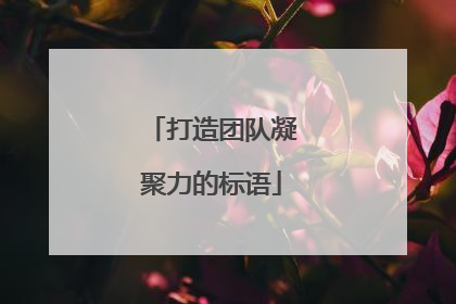 打造团队凝聚力的标语