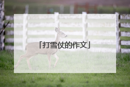 打雪仗的作文