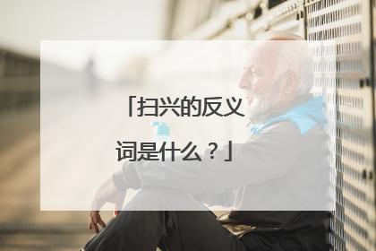 扫兴的反义词是什么？