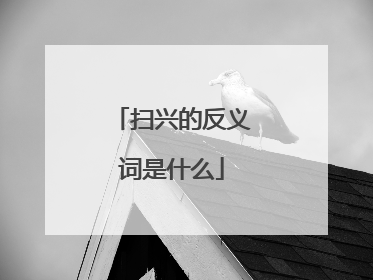 扫兴的反义词是什么