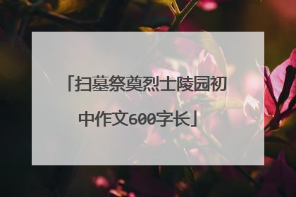 扫墓祭奠烈士陵园初中作文600字长