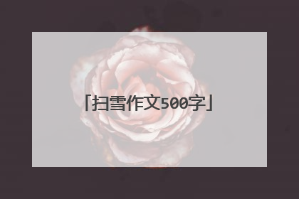 扫雪作文500字