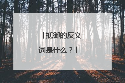 抵御的反义词是什么？