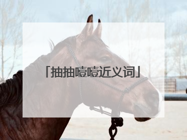 抽抽噎噎近义词