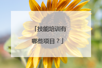 技能培训有哪些项目？