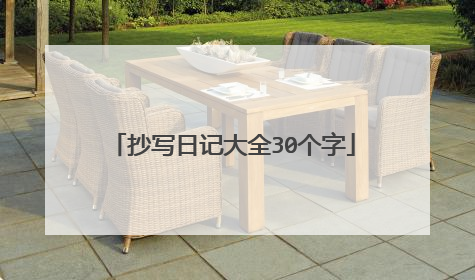 抄写日记大全30个字