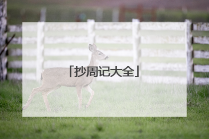 抄周记大全