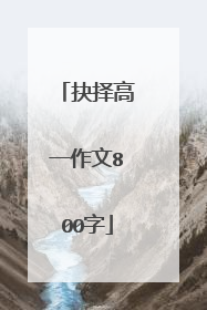抉择高一作文800字