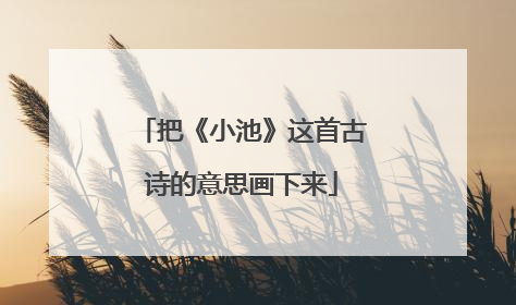 把《小池》这首古诗的意思画下来