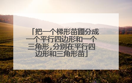 把一个梯形苗圃分成一个平行四边形和一个三角形,分别在平行四边形和三角形苗