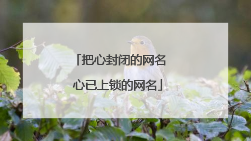 把心封闭的网名 心已上锁的网名