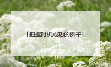 把握时机成功的例子