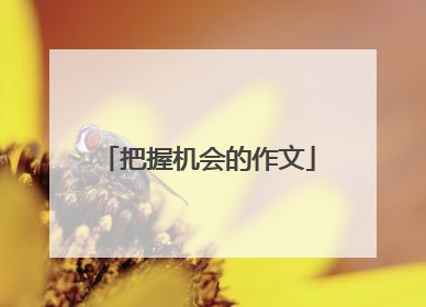 把握机会的作文