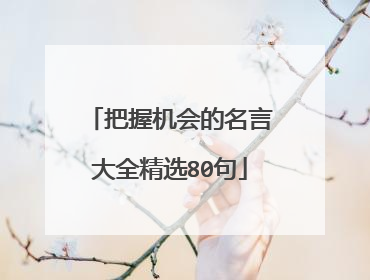 把握机会的名言大全精选80句