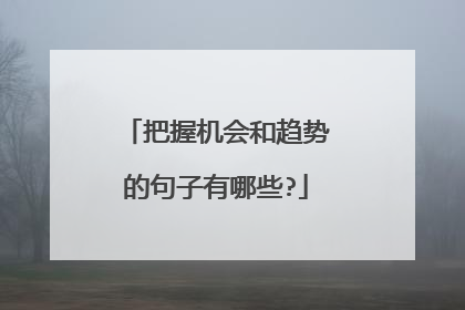 把握机会和趋势的句子有哪些?
