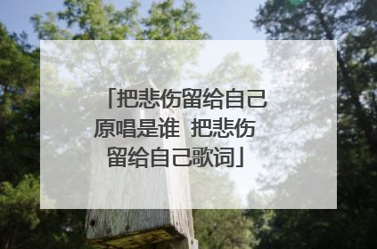 把悲伤留给自己原唱是谁 把悲伤留给自己歌词