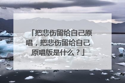 把悲伤留给自己原唱，把悲伤留给自己原唱版是什么？