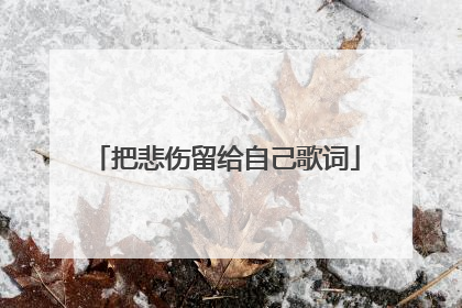 把悲伤留给自己歌词