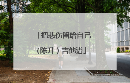 把悲伤留给自己(陈升）吉他谱