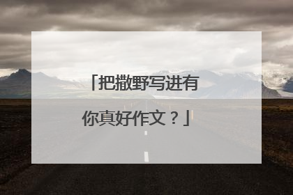 把撒野写进有你真好作文?