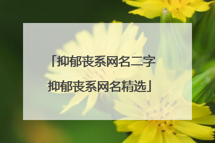 抑郁丧系网名二字 抑郁丧系网名精选