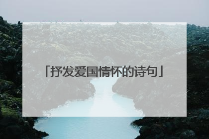 抒发爱国情怀的诗句