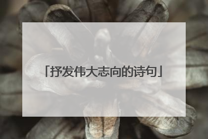 抒发伟大志向的诗句