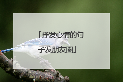 抒发心情的句子发朋友圈