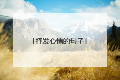 抒发心情的句子