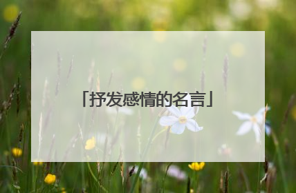 抒发感情的名言