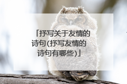 抒写关于友情的诗句(抒写友情的诗句有哪些)