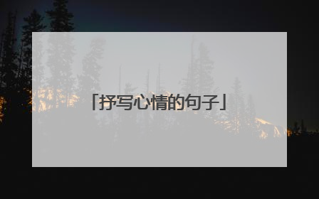 抒写心情的句子