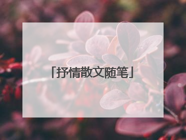 抒情散文随笔