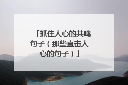 抓住人心的共鸣句子（那些直击人心的句子）